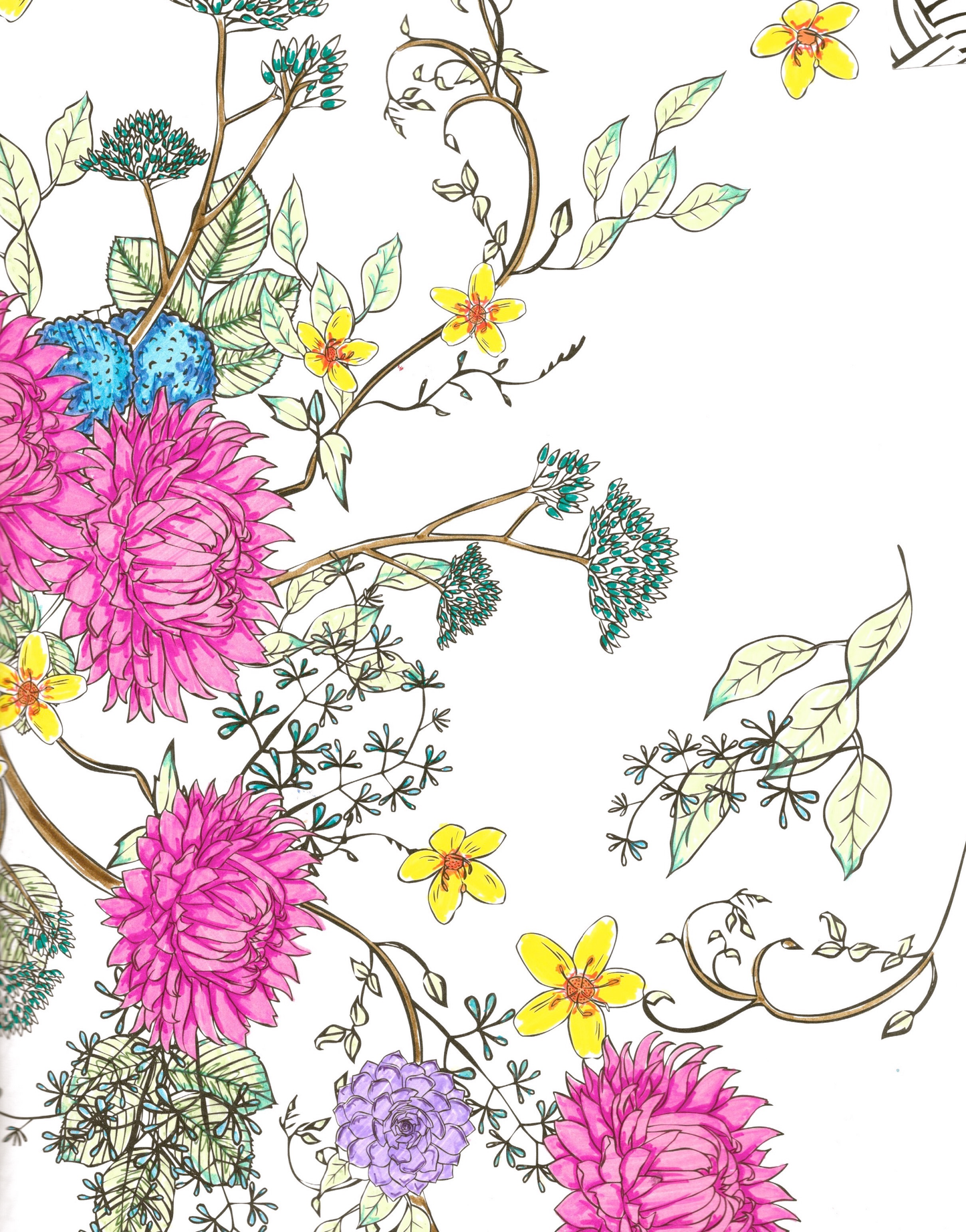 Textile & Graphic Illustrations